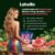 Made In Germany Natural Watermelon Labello Shine, Lip Balm Lwbg Aroma and a Subtle Pink Shine Lwbg
