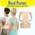 Royal Posture by Bulb Head - The Amazing Back Support Belt that Aligns Your Spine, Posture Corrector Brace (rpb)