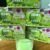 9d8880dab393df0a0bf8e379ec56a92a.jpg Apple DRINKING Natural Fruit SLIMMING Powder IDOL 10dp Slim Drink Weight Diet Block Burn Fat Radiant Skin 10 Sachets THAILAND