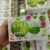e94bbaed9f01541df29135c0dd8627cc.jpg Apple DRINKING Natural Fruit SLIMMING Powder IDOL 10dp Slim Drink Weight Diet Block Burn Fat Radiant Skin 10 Sachets THAILAND
