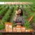 ed8b359b55e0ac75d1405d1c0767cd6e.jpg Aichun Beauty Carrot Facial Serum, Collagen + Vitamin E Anti Oxidation All Types of Skin 30ml carr